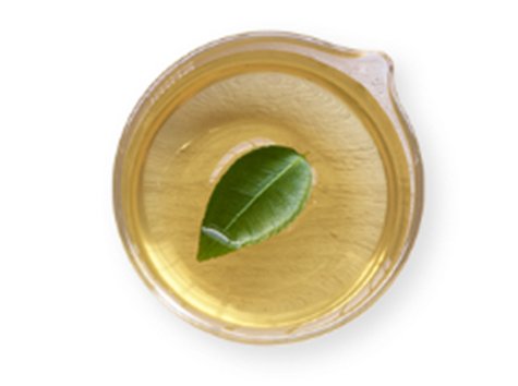zielona herbata